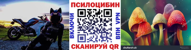 площадка телеграм  купить наркотики цена  Красноярск  Галлюциногенные грибы Cubensis 