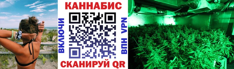Бошки Шишки семена  Красноярск 